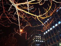 樣張秀：中興小鮮3感受北國(guó)冬夜風(fēng)光
