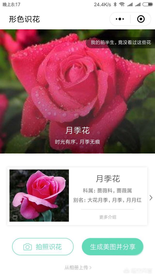好玩的微信小程序有哪些？十款實用微信小程序推薦